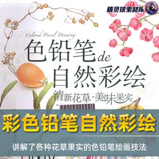 彩铅教程 彩色铅笔自然彩绘 清新花草美味果实著名画家河合瞳编写
