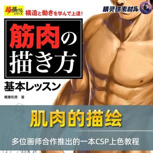 人体动作 描绘方法基本课程 漫画教程 学习结构和动作并提高肌肉