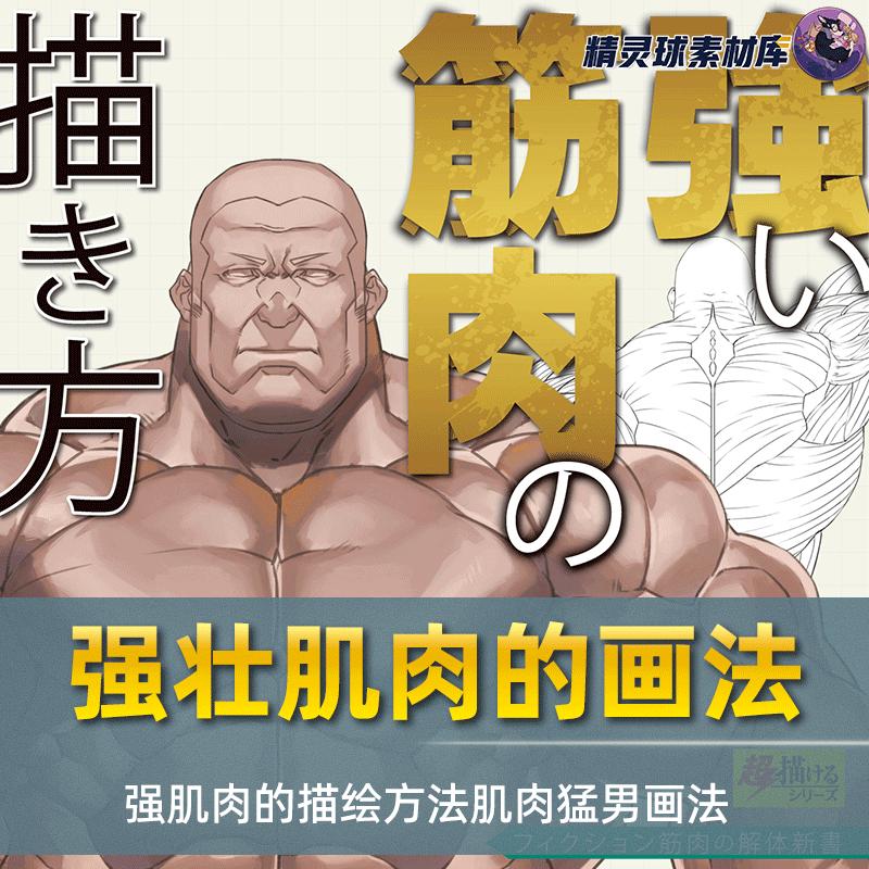 漫画教程 强壮肌肉的画法 通过人体骨骼肌肉分析教你画出肌肉猛男