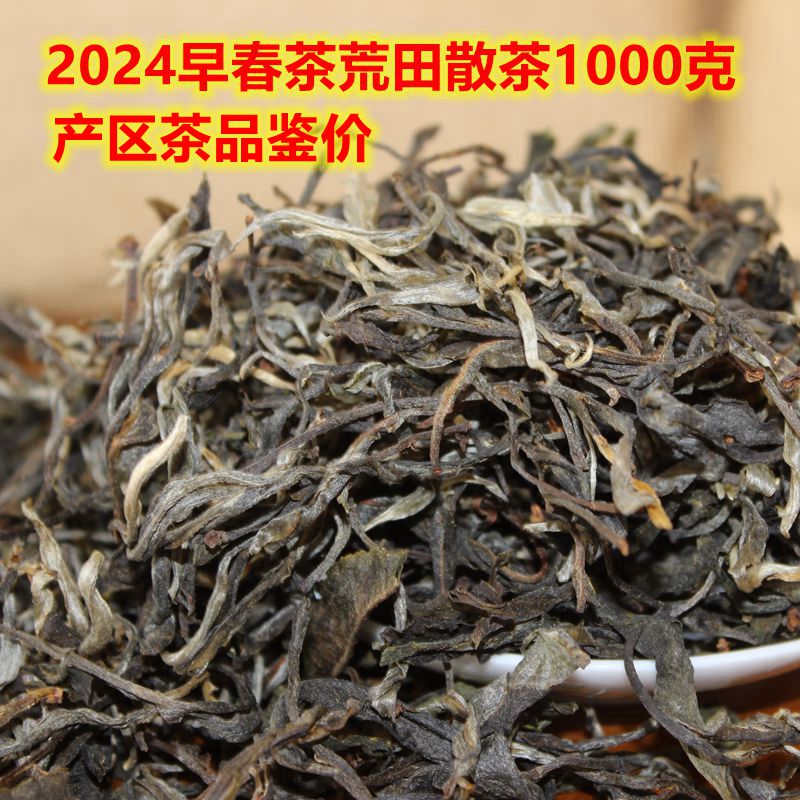 普洱茶 生茶2024年 野放春茶荒田散茶1000克共2袋古茶 老茶友品鉴