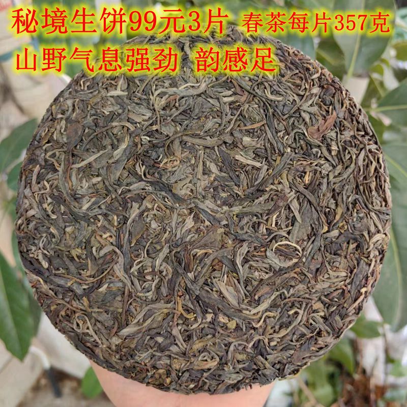 云南普洱茶生茶古树高杆蜜香饼茶357克秘境慌山 野放茶七子饼茶