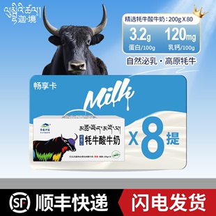 迦境青藏祁莲牦牛酸奶高钙早餐睡前营养牛奶200g 8箱 10盒
