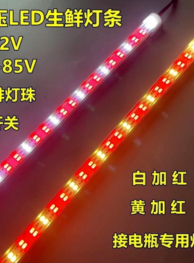 LED低压生鲜灯12V24V48V60V72V电瓶三轮车照水果熟食卤菜长条灯管