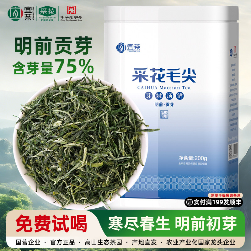 采花早春绿茶明前贡芽200g图片