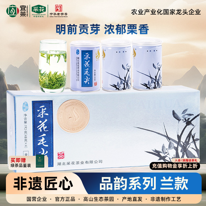 2026新茶采花毛尖明前绿茶图片