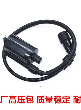 适用力帆250V16/KPT200/KPM/KPR-KPS/K19电喷高压包帽 点火线圈