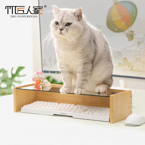 防猫键盘罩防尘增高收纳架