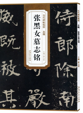 历代碑帖精粹 北魏 张黑女墓志铭 薛元明主编中国北魏书法经典楷书毛笔书法字帖字画艺术书籍碑帖精粹 安徽美术出版社