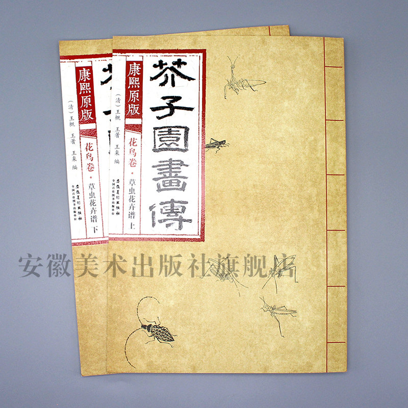 2本康熙原版芥子园画传花鸟卷 草虫花卉谱上下册 彩色版芥子园画谱成人自学国画花鸟花卉临摹本范画大学美术国画教材书
