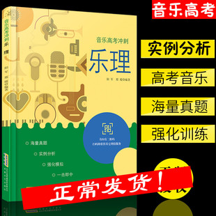 高考乐理强化训练教材 音乐高考冲刺乐理扫码听音频 视唱练耳高考应试练习曲谱乐理习题练习教材书籍 基本乐理教程教材