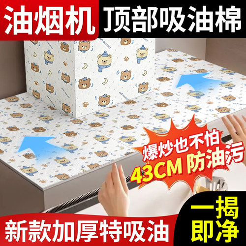 LEOUEANR/黎漾抽油烟机顶部防油垫油烟机防尘罩油污厨房吸油棉BJ