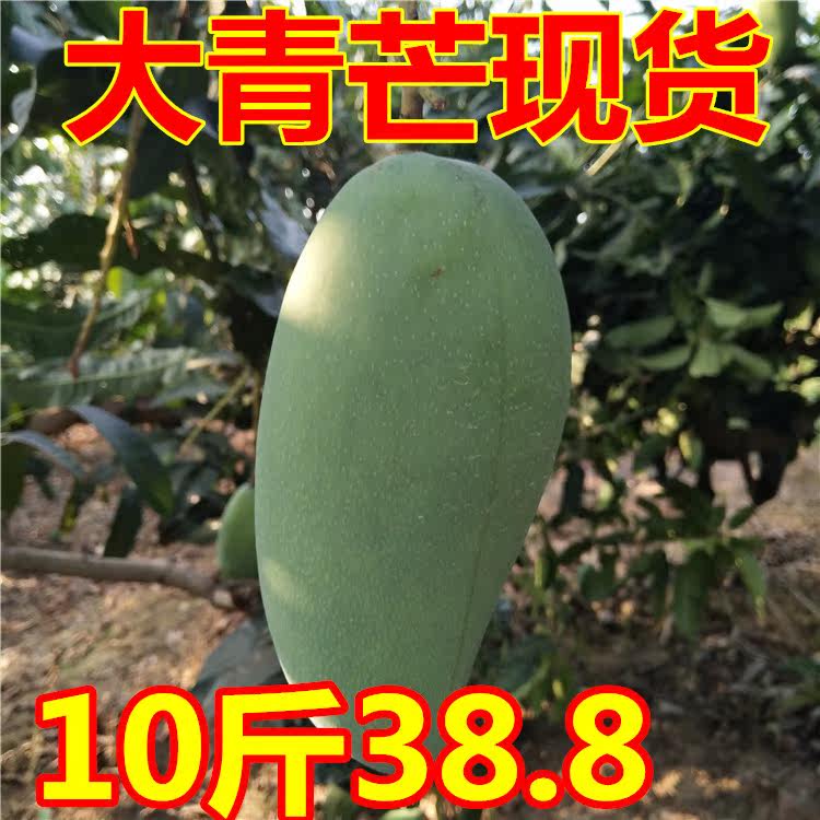 广西大青芒新鲜包邮10斤甜心青皮芒果超大个小核整箱应季水果即发|ruв категории водной мясо/свежие фрукты и овощи/еда, свежие фрукты, манго - от Buy2taobao.com для оказания профессиональной услуги покупки агента Taobao
