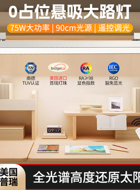 壁挂式长条儿童护眼学习专用防近视全光谱书桌大路灯柜板夹式台灯
