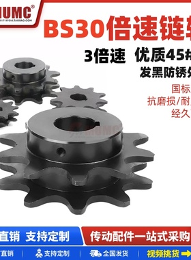 BS30倍速链轮BS30-C212A-9齿 10齿 C206BC208AC210A链条节距38.1