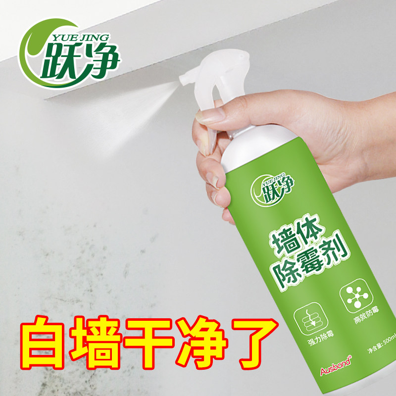 墙面墙壁墙体墙上发霉潮湿渗水怎么办防潮除霉处理剂防止防发霉液