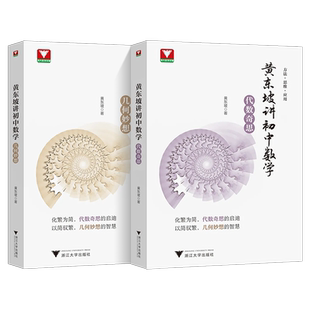 黄东坡讲初中数学代数奇思几何妙想智慧大讲堂带你发现数学之美初一初二初三解题方法与技巧 初中中考数学培优新方法七八九年级