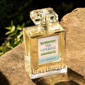 Carthusia卡普里岛之香卡普里岛之花特拉米亚Terra mia试香小样