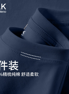 班尼路S&K男士长袖t恤2026春季新款重磅纯棉圆领打底衫磨绒内搭A