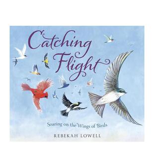 【预售】抓紧飞行:挥动翅膀翱翔Catching Flight:Soaring on the Wings of Birds 英文儿童图书籍进口原版Doubleday6-9岁