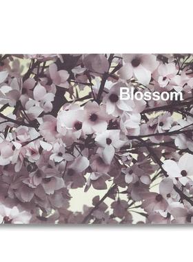 【预售】花丛Blossom英文进口原版摄影集Thomas Demand外文正版图书籍Thomas Demand