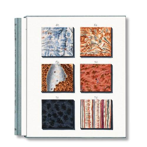 赛普：大理石之书 【Famou