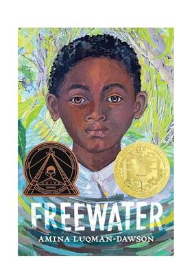 【现货】自由水Freewater (Newbery & Coretta Scott King Award Winner)英文进口原版儿童故事图书Amina Luqman-Dawson3-6岁