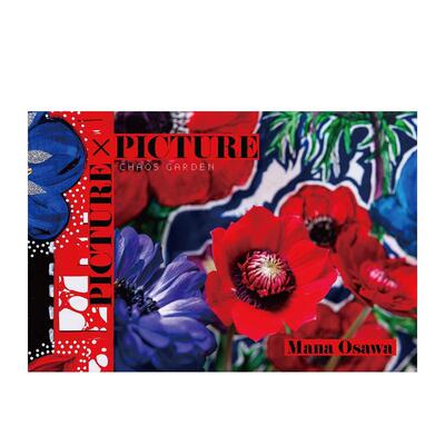 【现货】PICTURE×PICTURE，Mana Osawa 摄影作品集 日本日文原版图书籍正版