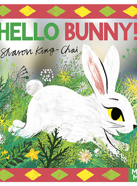 【现货】【魔法镜子】你好 小兔子！Hello Bunny! 感官艺术启蒙系列 寻物镜面书 动物认知 英文进口原版儿童艺术启蒙图书0-3岁Sha