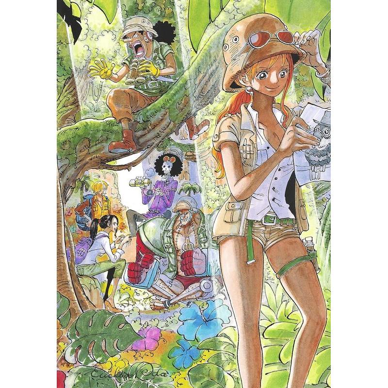 【预售】海贼王 插画集9 ONEPIECEイラスト集 COLORWaLK 9 TIGER 日文进口原版动画原画设定集正版图书籍 尾田 栄一郎 集英社