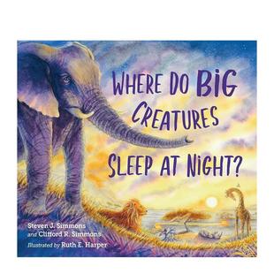 儿童绘本图书Steven Simmons百科 Sleep Creatures 大型生物晚上在哪里睡觉？Where Big Night?英文进口原版 预售