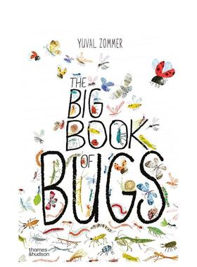 【现货】The Big Book of Bugs，虫子大书 英文进口原版儿童趣味图书Yuval Zommer  Barbara Taylor