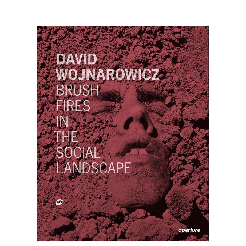 大卫·沃纳罗维奇：社会景观中的