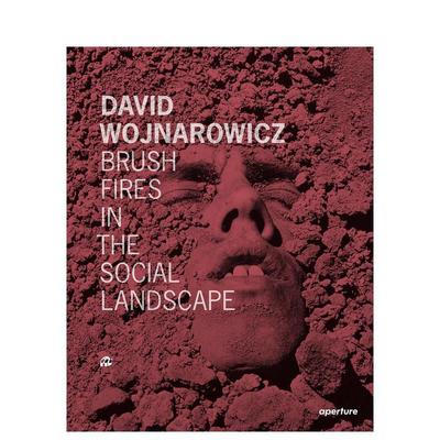 【预售】大卫·沃纳罗维奇：社会景观中的丛林之火 David Wojnarowicz: Brush Fires in the Social Landscape 英文摄影