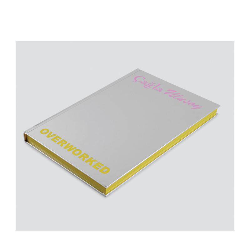 【预售】超负荷工作：查拉·乌卢索伊 OVERWORKED: ?a?la Ulusoy 英文进口原版艺术画册画集正版图书籍Ulusoy, ?a?la
