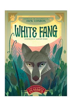 【现货】白牙 插图版 White Fang 英文进口原版儿童故事图书 Domenico Russo外文正版