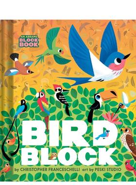 【预售】鸟鸟积木书 【Block】Birdblock 英文进口原版儿童绘本图书 Christopher Franceschelli Abrams Appleseed
