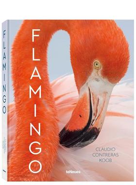 【现货】【翰德图书】Flamingo，火烈鸟 英文原版图书籍进口正版 Claudio Contreras Koob 摄影-纪实