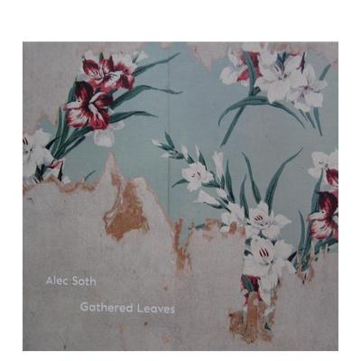 【现货】亚历克·索斯:收集的树叶 Alec Soth: Gathered Leaves 进口原版明信片送礼Alec Soth