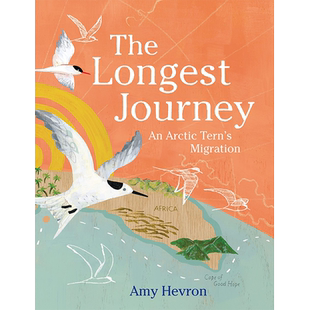 【现货】The Longest Journey：An Arctic Terns Migration 最漫长的旅程：北极燕鸥的迁徙 儿童绘本 动物/生态/环保