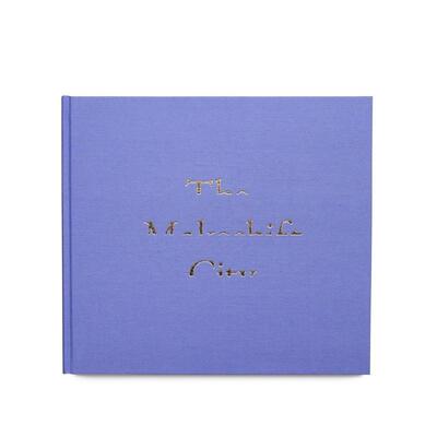 【预售】临时城市 The Makeshift City 英文进口原版摄影作品集Greer Joshua外文正版摄影图书