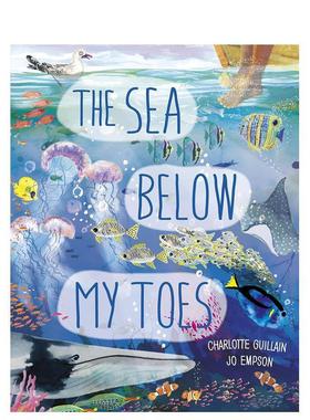 【预售】【Look Closer】The Sea Below My Toes【手风琴书】我脚下的海 英文进口原版儿童绘本百科图书 Charlotte Guillain3-6岁