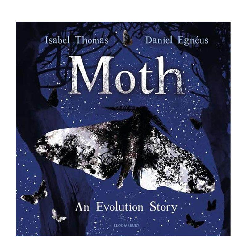 飞蛾 Moth 原版英文儿童绘