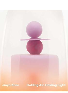 【预售】赵瑾雅：执气引光Jinya Zhao: Holding Air, Holding Light英文进口原版艺术画册画集外文图书Jinya Zhao