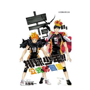 彩图集 图书籍 现货 公式 漫画 日向翔阳影山飞雄 东立出版 全 排球少年 正版 台版 港台原版 设定集插画图册 古馆春一
