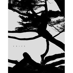 【现货】 Jungjin Lee:Voice，李俊金:声音 英文原版图书籍进口正版 Jungjin Lee 摄影-摄影师专辑 Nazraeli Press