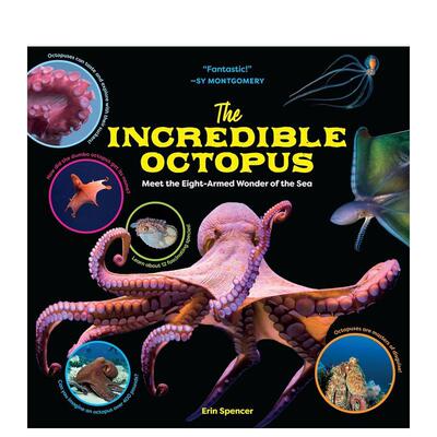 【现货】不可思议的章鱼 The Incredible Octopus 进口原版英文图书青少年读物9岁-12岁Spencer  Erin外文正版