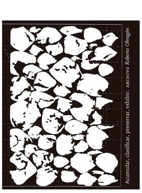 【预售】罗伯托·奥布雷贡：积累、分类、保存、展示—卡罗莱纳与费尔南多·埃塞韦里收藏档案 Roberto Obregón英文进口原版艺术