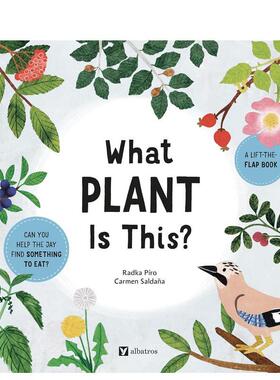 【现货】【自然故事翻翻丛书】这是什么植物？ 【Stories from Nature】英文进口原版儿童趣味图书 互动科普翻页Radka Piro