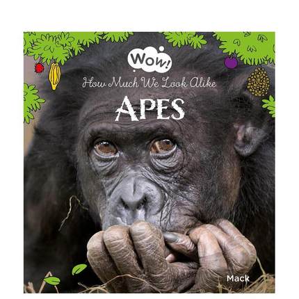 【预售】哇！猿类与我们看起来有多相似Wow! Apes. How Much We Look Alike 英文进口原版儿童绘本图书 3-6岁 Clavis 动物生态环保