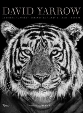 【预售】David Yarrow Photography: Americas Africa Antarctica Arctic Asia Europe 动物摄影师 大卫亚罗作品集 英文原版 正版